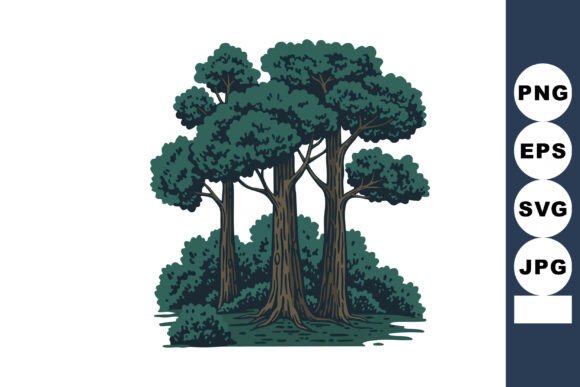 Group of Large Trees with Dense Green Fo: Premium Graphics & Illustrations
